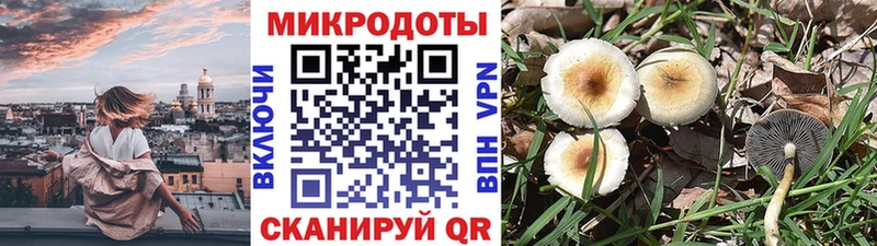 продажа наркотиков  Обоянь  Галлюциногенные грибы Psilocybe 